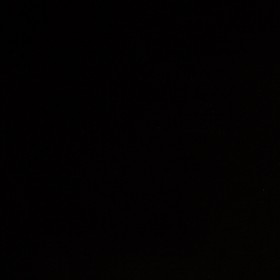 AVIANNA / NIGHT