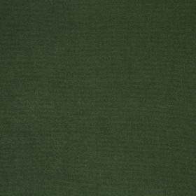 WILDERNESS / 26 CACTUS