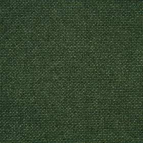 WILDERNESS / 26 CACTUS